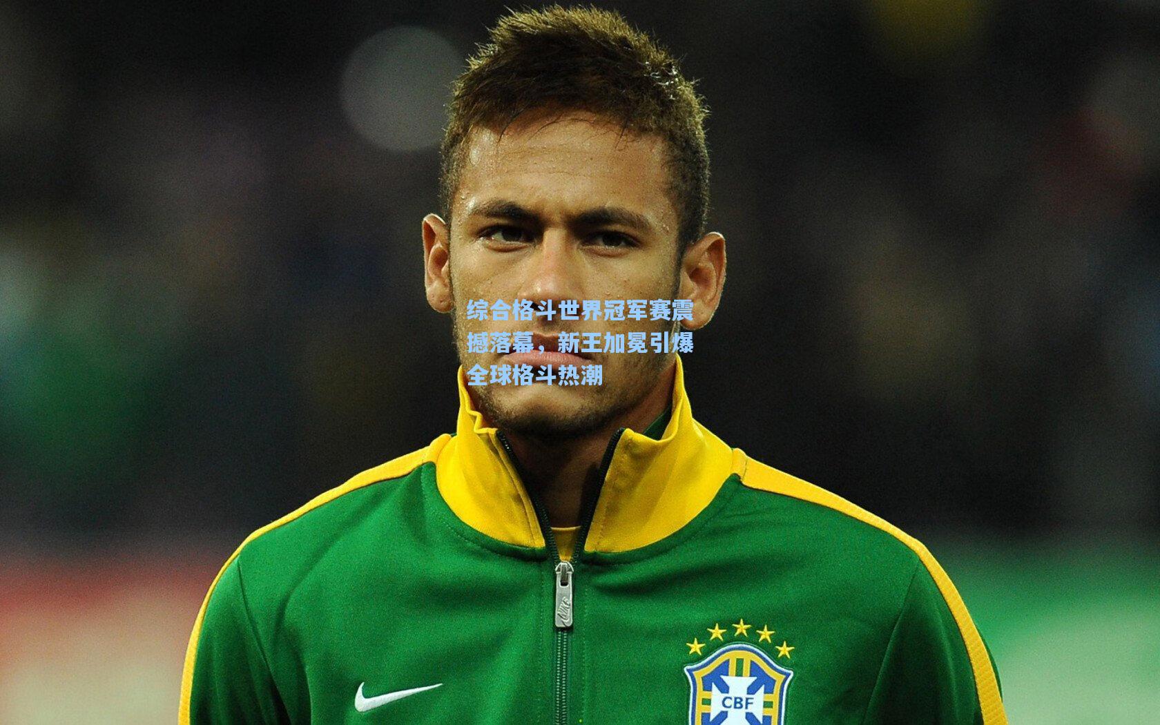 综合格斗世界冠军赛震撼落幕，新王加冕引爆全球格斗热潮